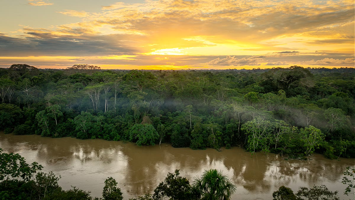 Vista aérea de un río rodeado por el bosque al atardecer